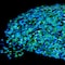 Mermaid Chunky Glitter by Recollections™ Signature™